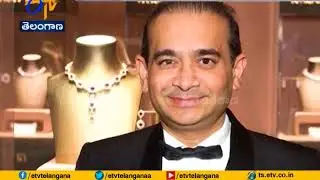 200 Shell Companies, Benami Properties Investigated | In PNB Fraud Case