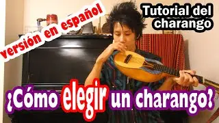 Tutorial del Charango 【¿Cómo elegir un charango?