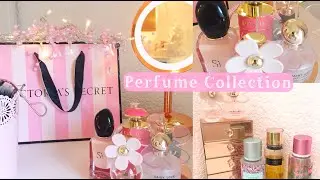 Perfume Collection 2020 | Aloha Amy