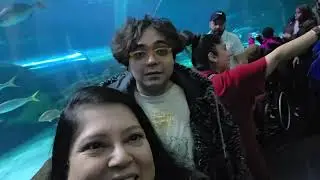 Dangerous Lagoon at Ripley's Aquarium of Canada