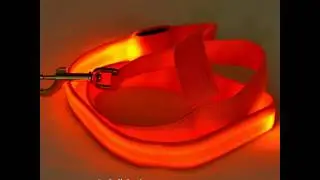 Prime LED Dog Leash