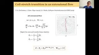 TURW03 | Dr. Dario Vincenzi | Polymer stretching in random flows
