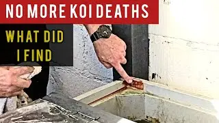 Good news in the bunker, Adding salt for the first time (KOI POND)
