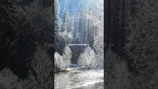 Yosemite in the winter is otherworldly #snow #yosemite #nps #nationalpark