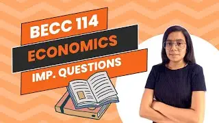 BECC 114 | HINDI Medium | BA ECONOMIC HONOURS | IMPORTANT QUESTIONS | IGNOU WALAY