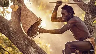 Ancient Human Risking Life for Honey | Prehistoric Survival Story 