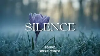 SILENCE | Soft Instrumental Music For A Peaceful Mind - SMOOTH WHISPER 🪻