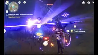 Genshin impact starshroom bug 3 0 patch 27 08