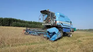 Żniwa 2025 cz.12 - Bizon Dynamic Z165