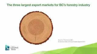 Forestry Sector Infographic