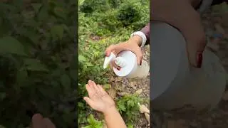 Survival Skills: single mom make smart mini soap saving in forest #camping #outdoors #lifehack