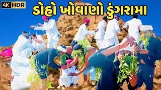 ડોહો ખોવાણો ડુંગરામા Raja sadhi official Haripura 
