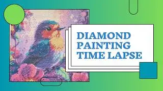 Sped Up - Robin 2 - Diamond Painting