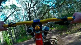 Boy Scout Trail 2018