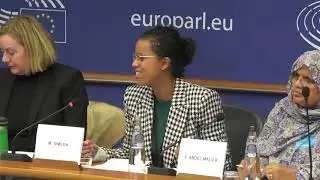 DEVE Committee Public Hearing on the implementation of NDICI-Global Europe