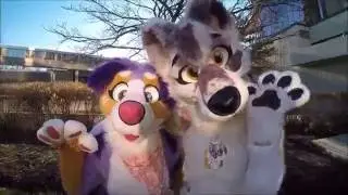 MWFF 2015