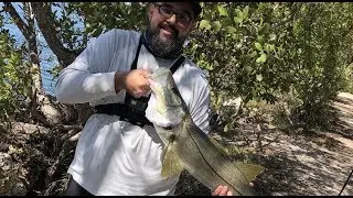 Big Snook at Black Point Marina