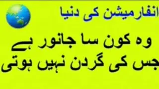 WO KON SAY JANWAR HAI||PEHLIYAN | GK INFORMATION | INFORMATION Wali DUNYA