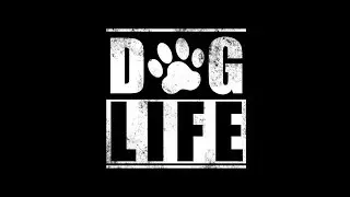 DOG LIFE Session Series Scout Resource Guarding Session 1 Jan 15 2018