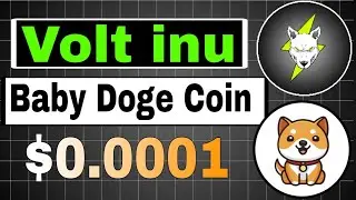 BIG NEWS😵 / BABY DOGE COIN / VOLT INU COIN CRYPTO NEWS TODAY'S / PRICE PREDICTION #babydogecoin