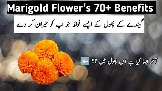 Gande ke phool ke 70 fayde|What is the use of marigold flower