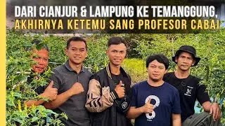 Dulu Belajar Lewat HP Kini Bertemu Mas Udin di Ladang, Cerita Petani Cabai Dari Dua Provinsi