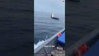 Don't Mistake This for a Boat! 😳