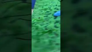 How to cut curves out of stained glass!