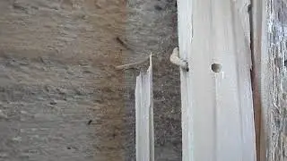 MOV05488
