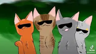 We are d-driving in a CAR- random warrior cats tik tok animation
