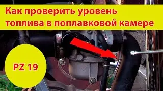Checking the fuel level in the float chamber of the PZ 19 carburetor on an Alpha moped