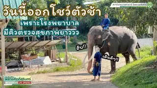 ตามติดชีวิต #พลายศักดิ์สุรินทร์  8 ตุลาคม 2567 คิวตรวจสุขภาพยาว จนพี่ธุมาโชว์ตัวช้า