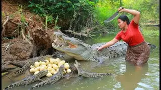 Women Catch Crocodile egg at river - Cooking soup  Crocodile for dog Eating delicious 4K