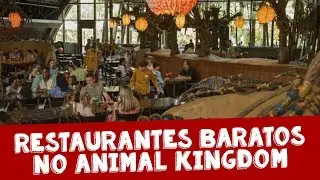 Restaurantes baratos para comer no Animal Kingdom