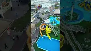 New Trending in Dammam Dolphin village | قرية الدولفين الدمام | viral in dammam Dolphin show