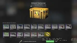CSGO  Case Opening 4.(Operation Wildfire Case)