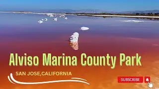Exploring California | Alviso Marina County Park, Salt Lake | Bay Area's Best Kept Secret