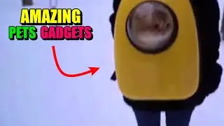 Amazing Pet Toys  Gadgets Tech