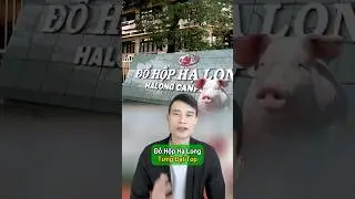 Đồ hộp Hạ Long từng đạt Top doanh nghiệp mạnh #dohop #halong