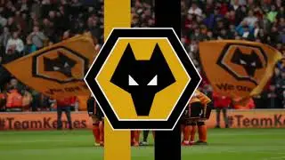 Wolves Goal Song ( Stadium Effect )
