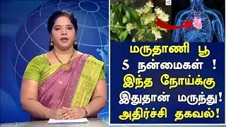 மருதாணி பூவின் மருத்துவ நன்மைகள் | Henna Flower Health Benefits | Nalam 360