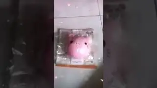Punimaru animal bun scented tton candyco