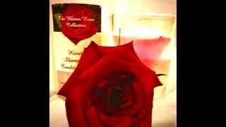 The Blanca Rosas Collection Shampoo & Conditioners Baskets