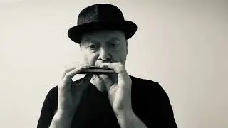 My Eyes Keep Me in Trouble Blues - Harmonica Hawk