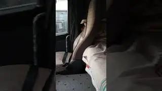 Scania g420 soğuk motor sesi