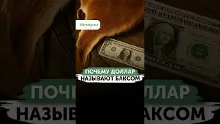 Why is the dollar called the buck?