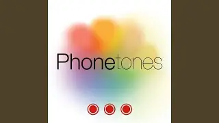 Sophisticated Professional Business Alert Tone SMS