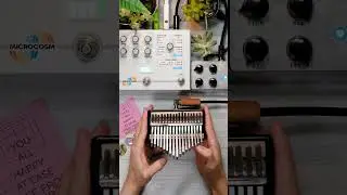 Metta Audio Devices Kalimba + Fairfield Circuitry ~900 + Microcosm｜Ambient, Soundscape　#shorts