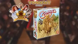 Let's Play Camel Up - The Board & Barrel