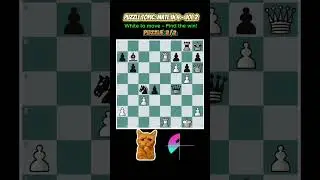 Mate in 4 &ndash; Vol 2 | Deep Tactical Challenge | AQChess #chess